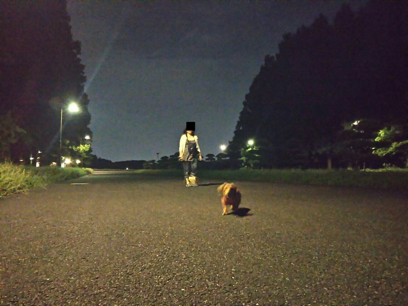 f:id:hirotaka72:20170822204720j:plain