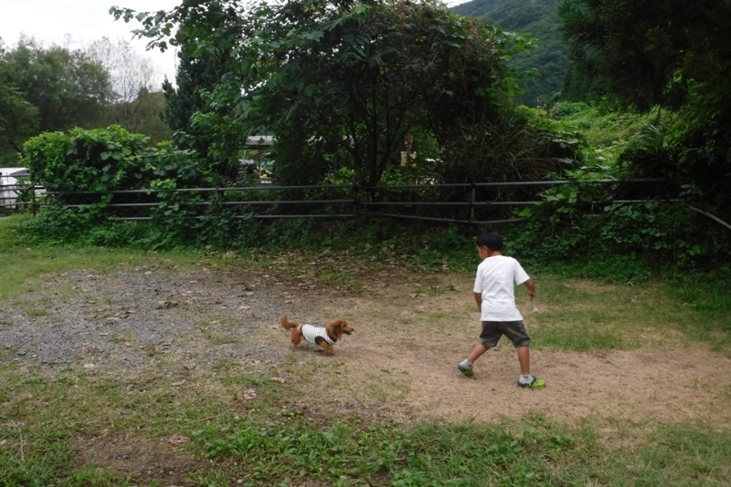 f:id:hirotaka72:20170827081123j:plain