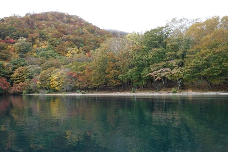 f:id:hirotaka72:20171014114742j:image:w450