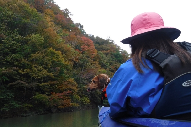 f:id:hirotaka72:20171028084323j:plain