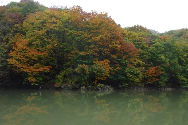 f:id:hirotaka72:20171028085636j:plain