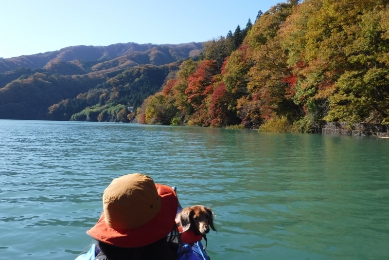 f:id:hirotaka72:20171112131127j:plain