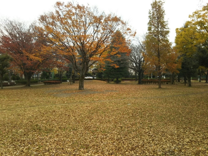 f:id:hirotaka72:20171118100726j:plain