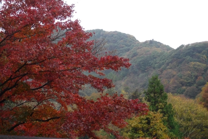 f:id:hirotaka72:20171123113246j:plain