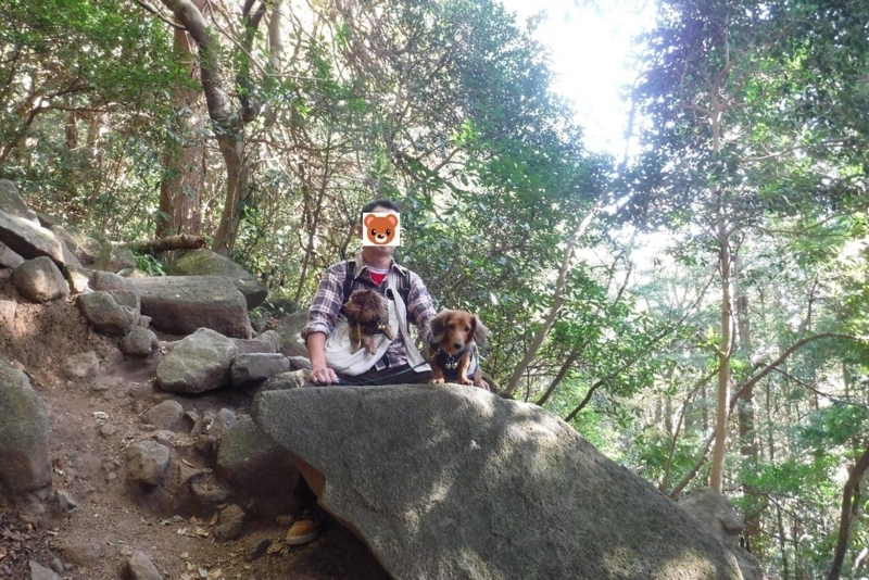 f:id:hirotaka72:20171126110846j:plain