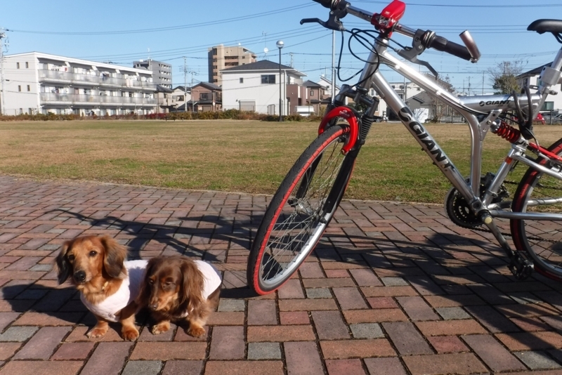 f:id:hirotaka72:20171209132131j:plain