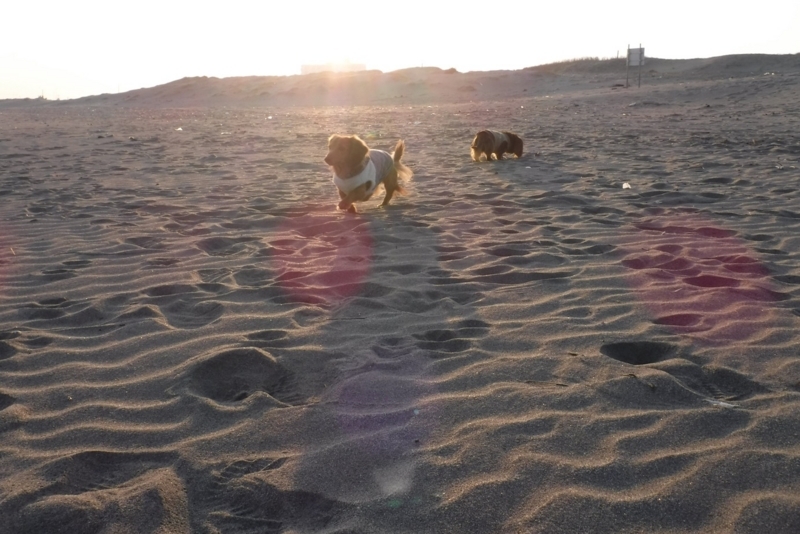 f:id:hirotaka72:20171224153145j:plain