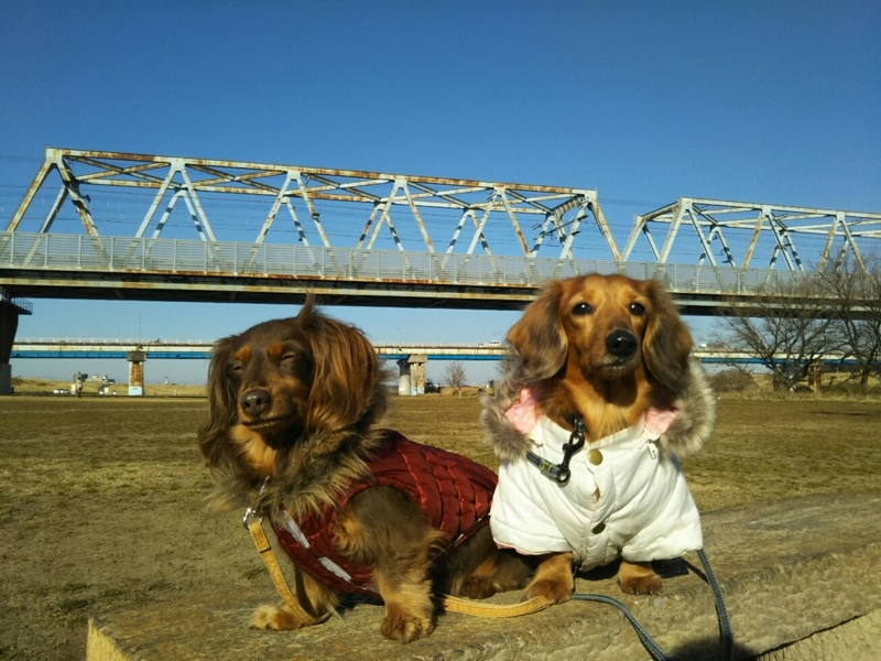 f:id:hirotaka72:20180106141036j:plain