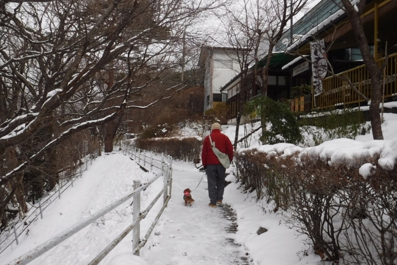 f:id:hirotaka72:20180127091810j:plain