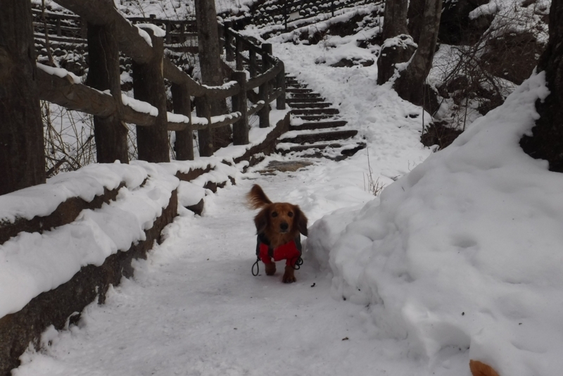 f:id:hirotaka72:20180127092704j:plain
