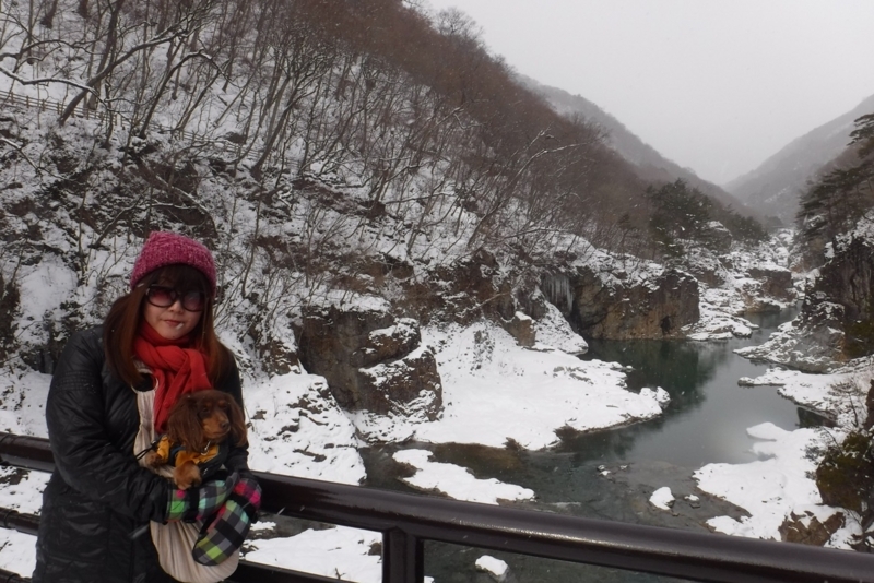 f:id:hirotaka72:20180127093127j:plain