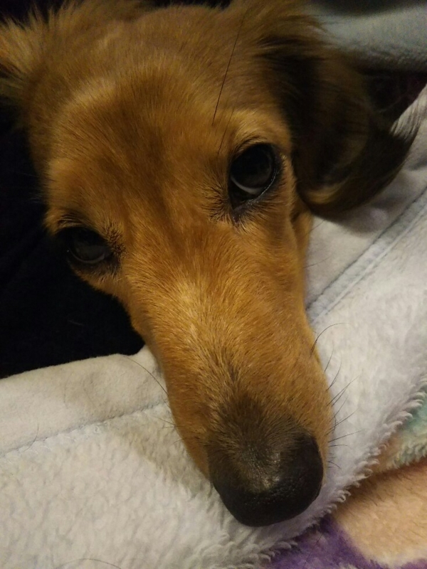 f:id:hirotaka72:20180203215701j:plain