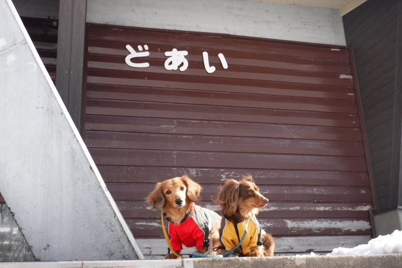 f:id:hirotaka72:20180226092336j:plain