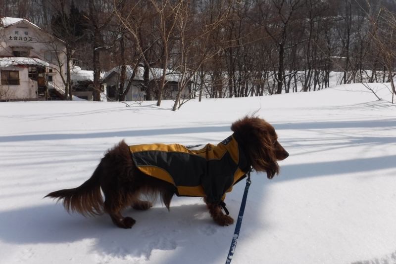f:id:hirotaka72:20180226092755j:plain