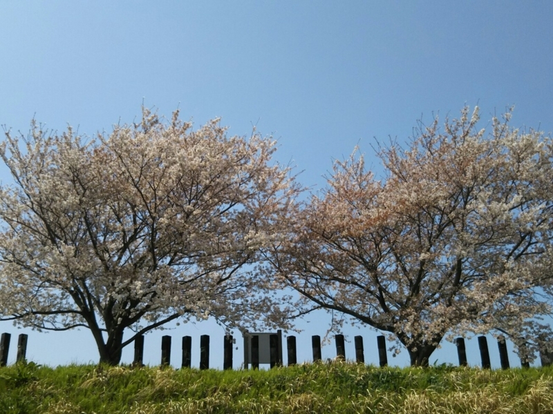 f:id:hirotaka72:20180401112348j:plain