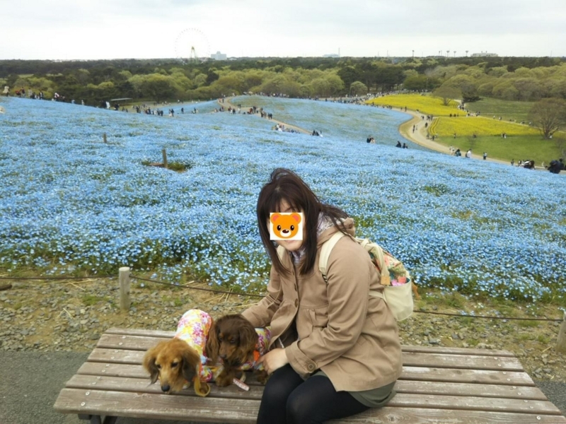 f:id:hirotaka72:20180414151945j:plain