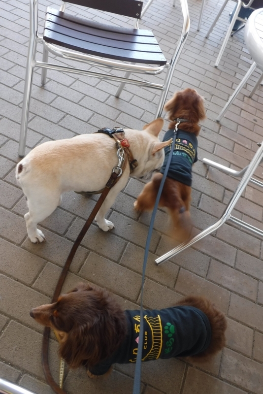 f:id:hirotaka72:20180428114701j:image:w200