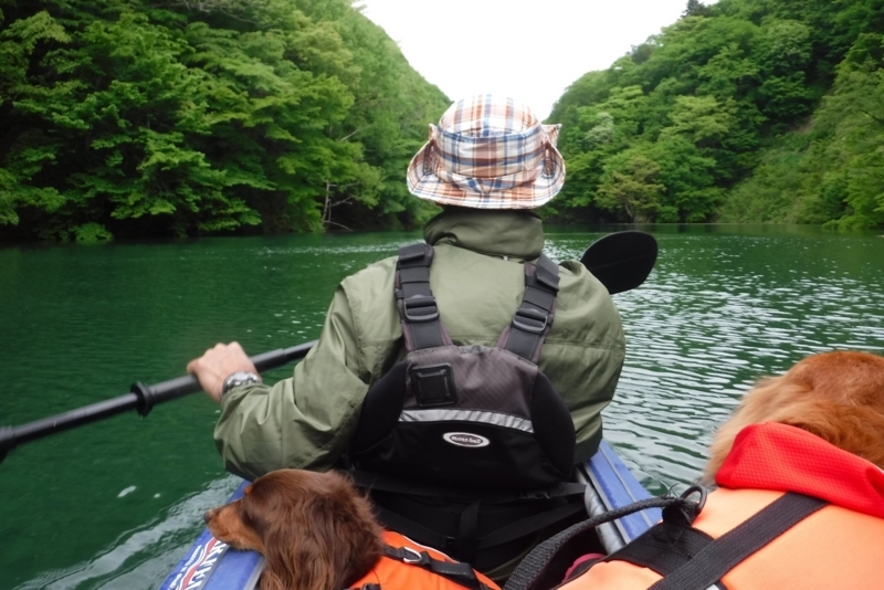 f:id:hirotaka72:20180519112040j:plain