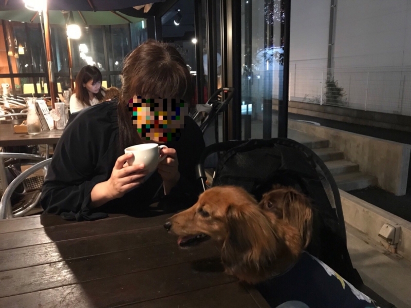 f:id:hirotaka72:20180602004608j:plain
