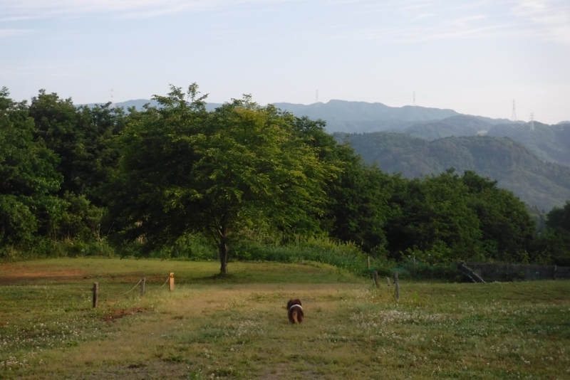 f:id:hirotaka72:20180604054257j:plain