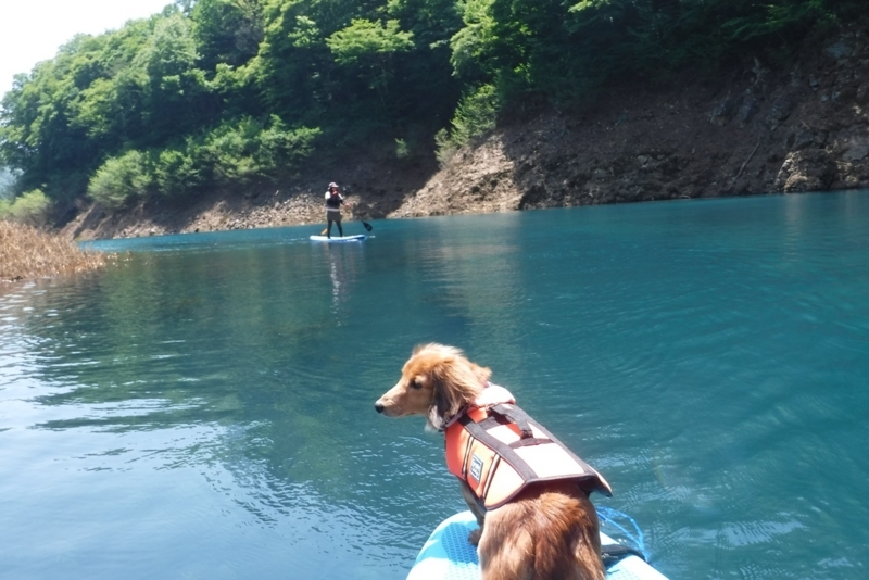 f:id:hirotaka72:20180604120747j:image:w603