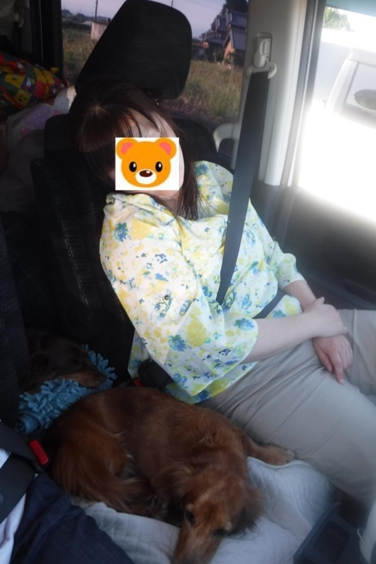 f:id:hirotaka72:20180604170337j:image:w360