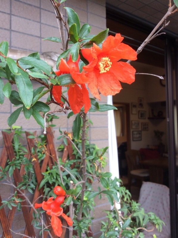 f:id:hirotaka72:20180616102655j:plain