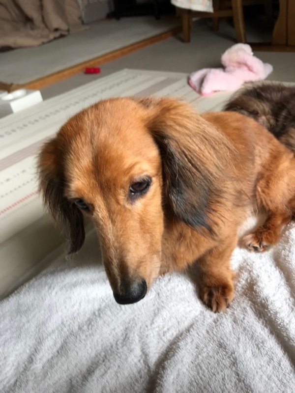 f:id:hirotaka72:20180616203231j:plain
