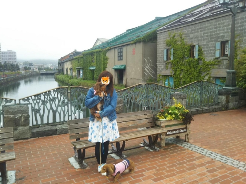 f:id:hirotaka72:20180716074052j:plain
