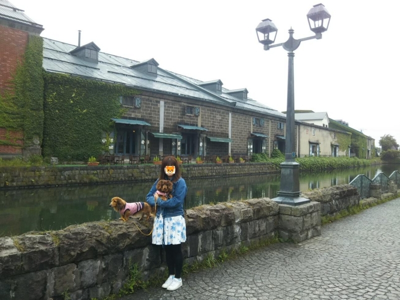 f:id:hirotaka72:20180716075443j:plain