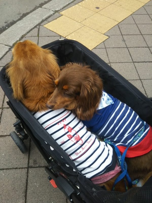 f:id:hirotaka72:20180716093248j:plain