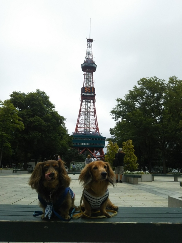 f:id:hirotaka72:20180716095119j:plain