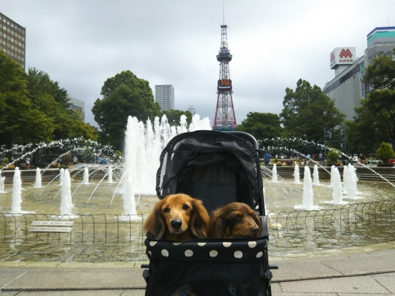 f:id:hirotaka72:20180716095603j:plain