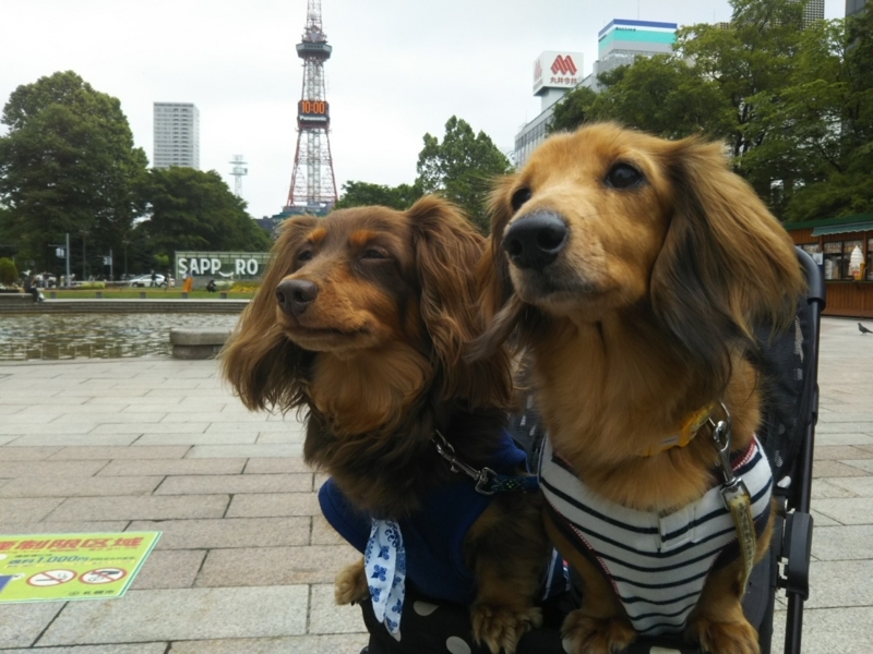 f:id:hirotaka72:20180716100031j:plain