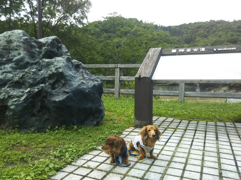 f:id:hirotaka72:20180716135539j:plain