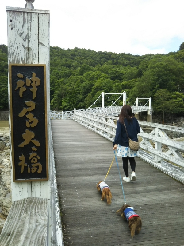 f:id:hirotaka72:20180716135814j:plain