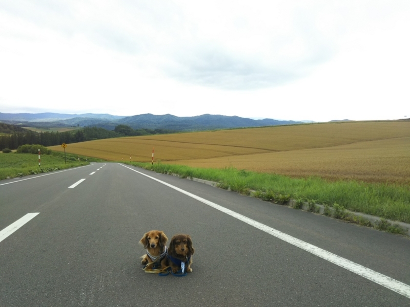 f:id:hirotaka72:20180716151629j:plain