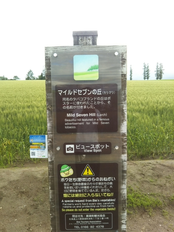 f:id:hirotaka72:20180716162552j:image:w230