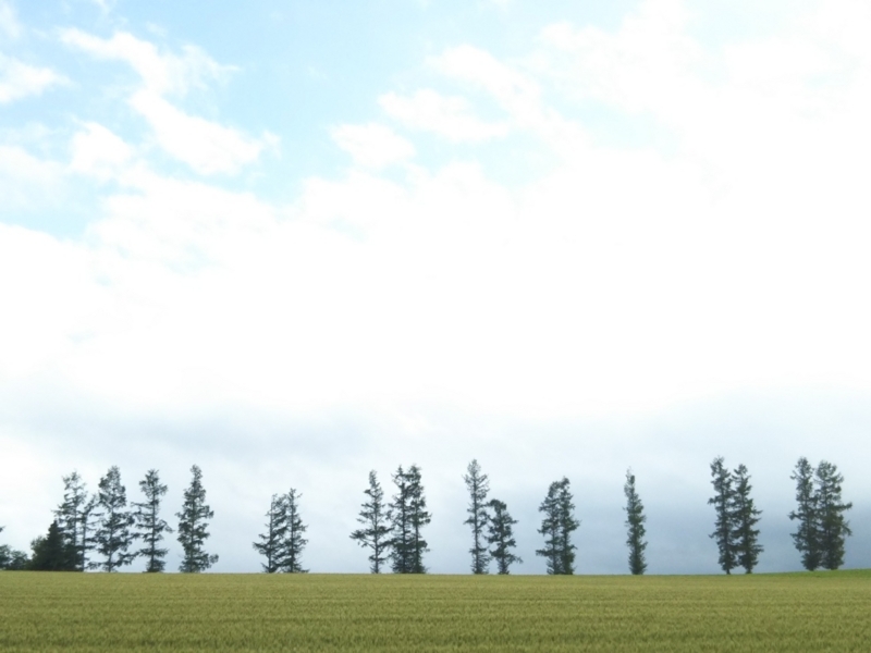 f:id:hirotaka72:20180716162806j:plain