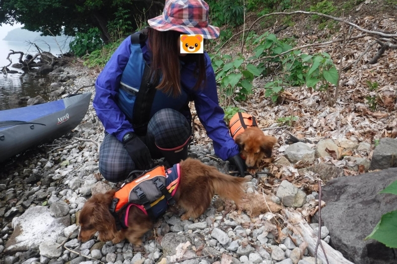 f:id:hirotaka72:20180721080206j:plain