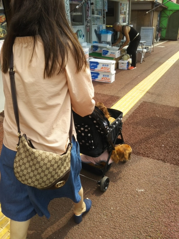 f:id:hirotaka72:20180721133516j:plain