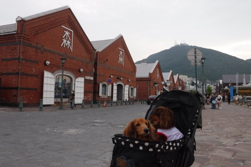 f:id:hirotaka72:20180721170214j:plain