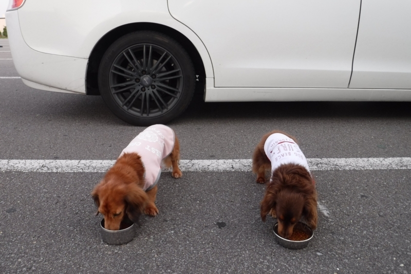 f:id:hirotaka72:20180721181913j:plain
