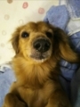 20180730205545