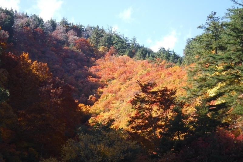 f:id:hirotaka72:20181028120448j:plain