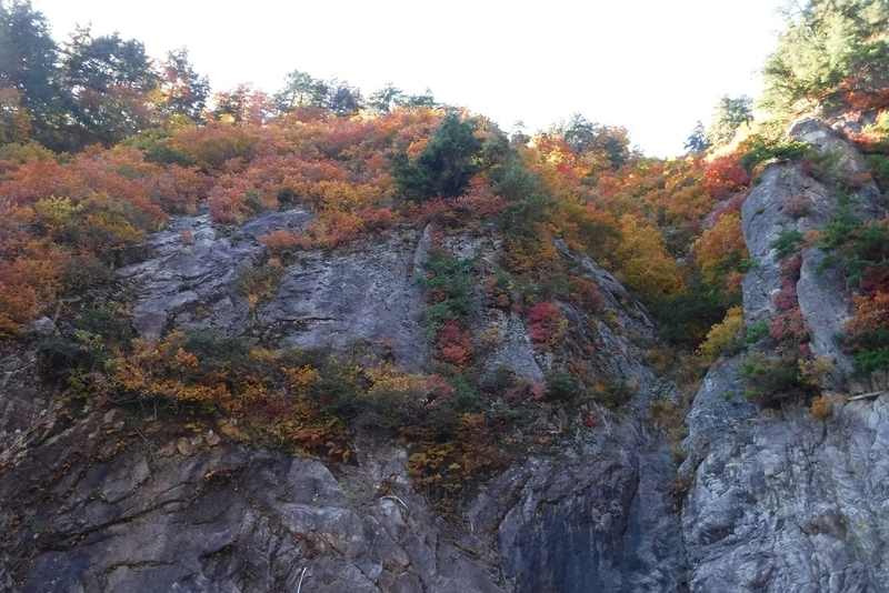 f:id:hirotaka72:20181028120844j:plain
