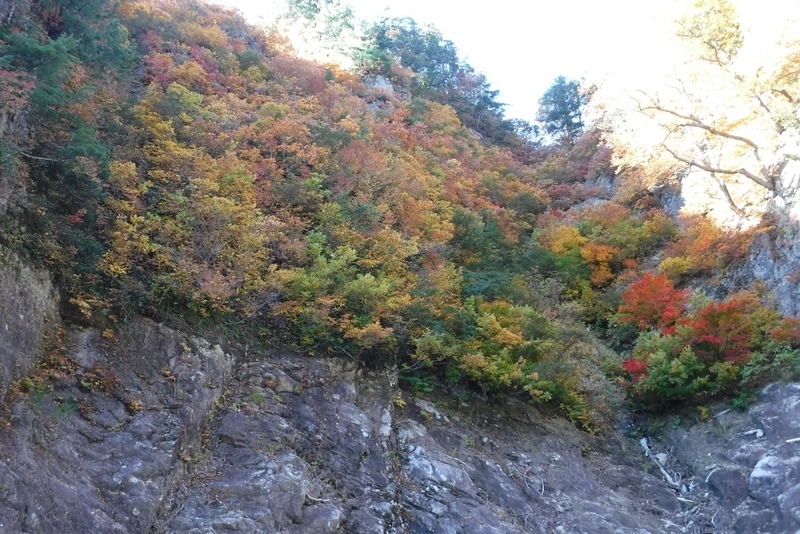 f:id:hirotaka72:20181028121116j:plain