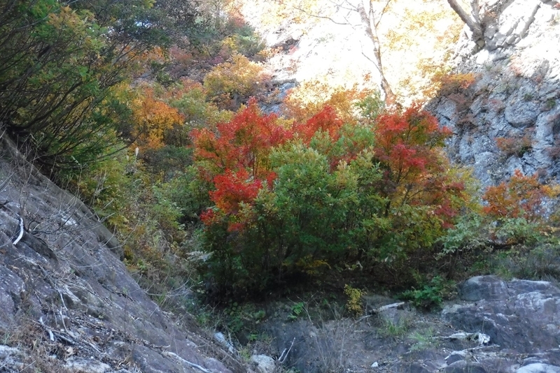 f:id:hirotaka72:20181028121205j:plain