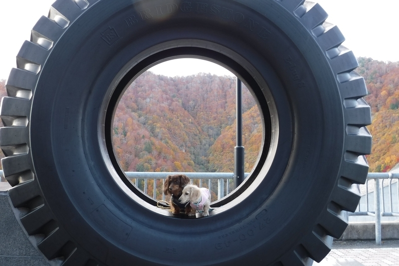 f:id:hirotaka72:20181028145440j:plain