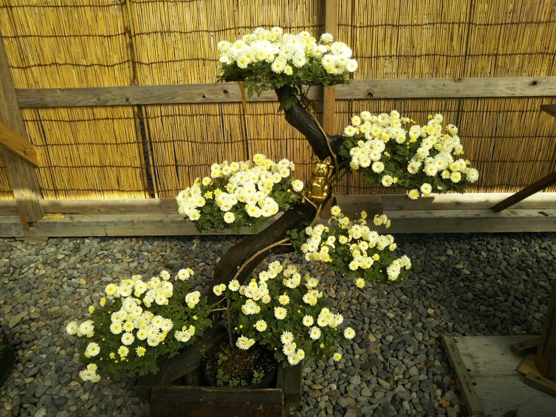 f:id:hirotaka72:20181103101146j:plain
